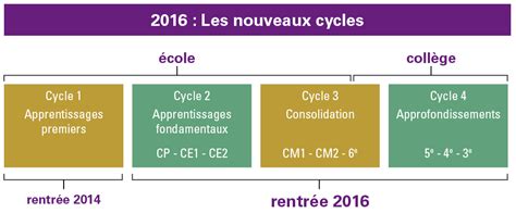 Cycle 3 .